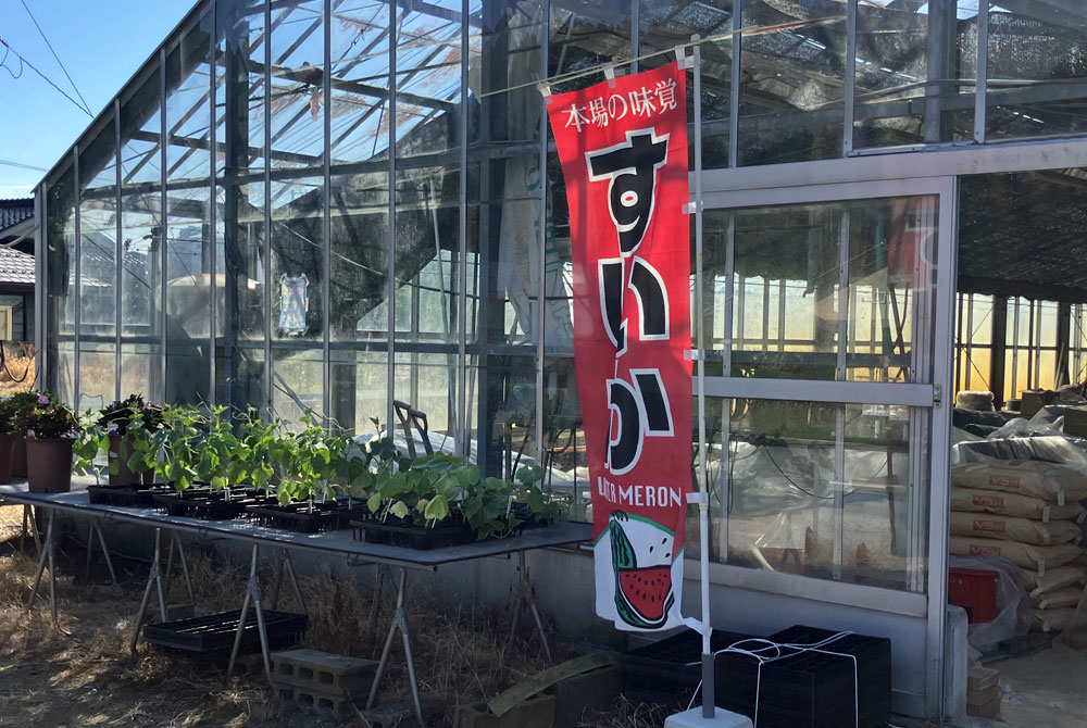 永原農園て゜は朝日スイカを販売しております