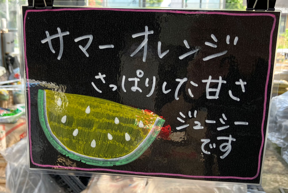 永原農園『朝日スイカ（サマーオレンジ）』