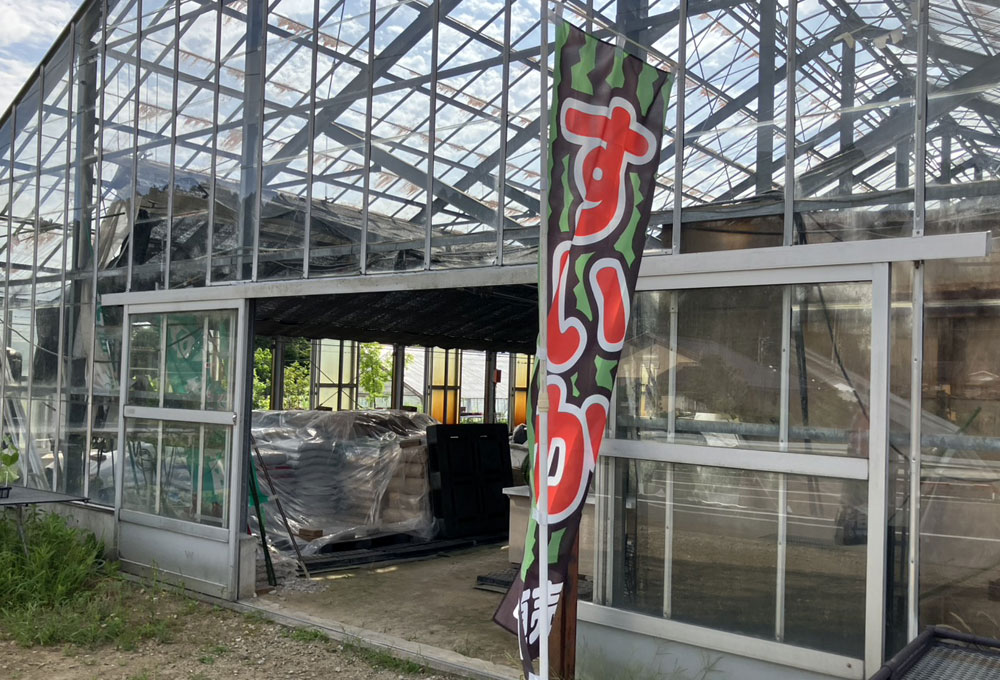 永原農園『今年もおいしい朝日スイカの販売を始めました』