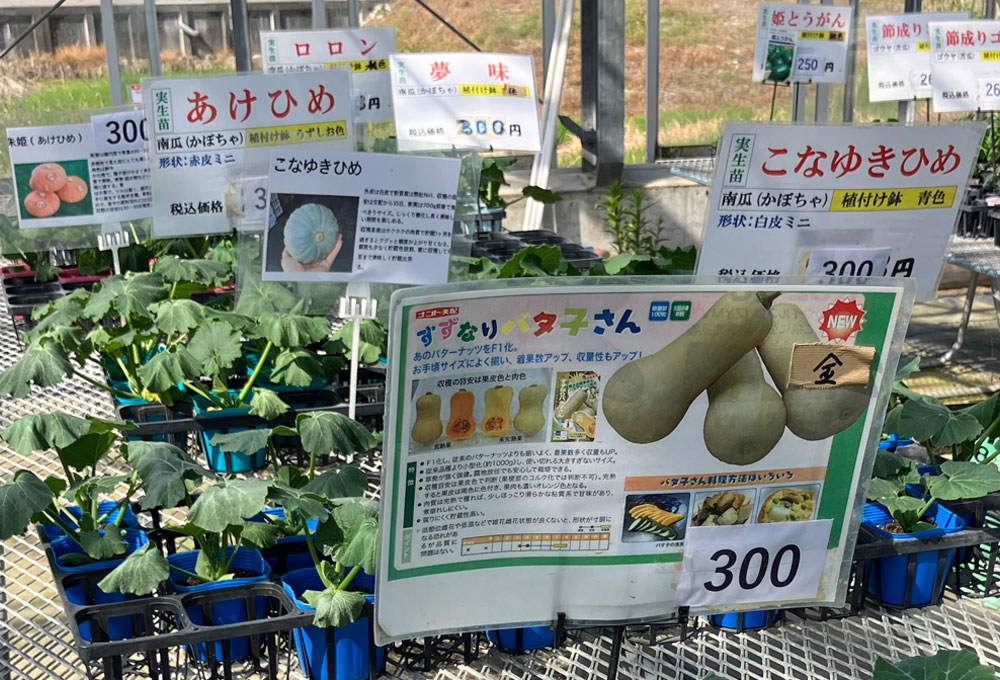 永原農園『今春も各種苗の販売』