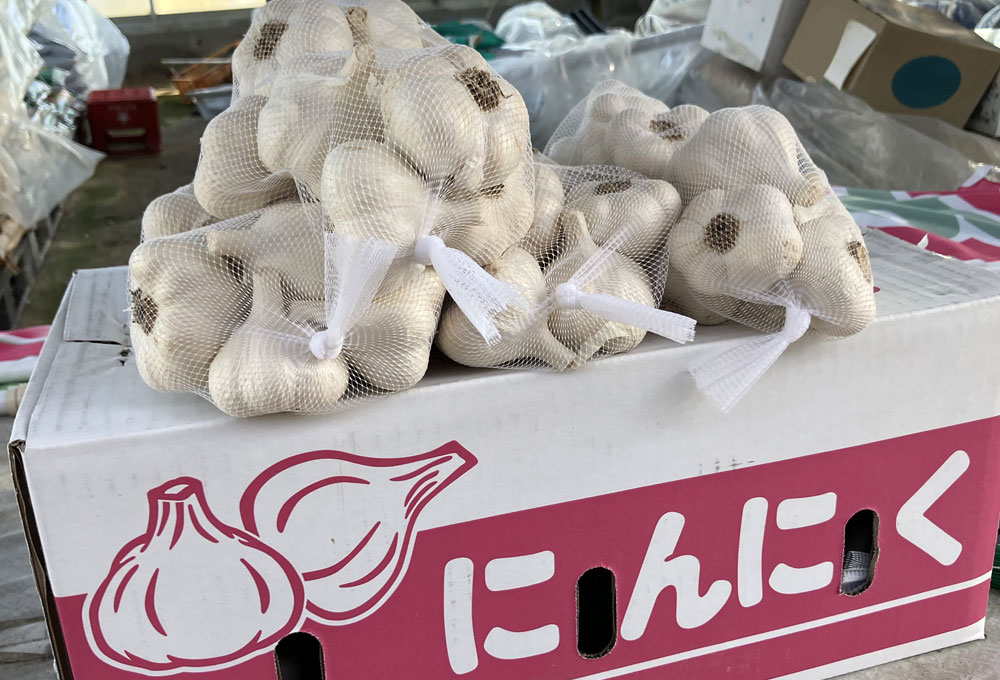 永原農園の美味しいにんにく